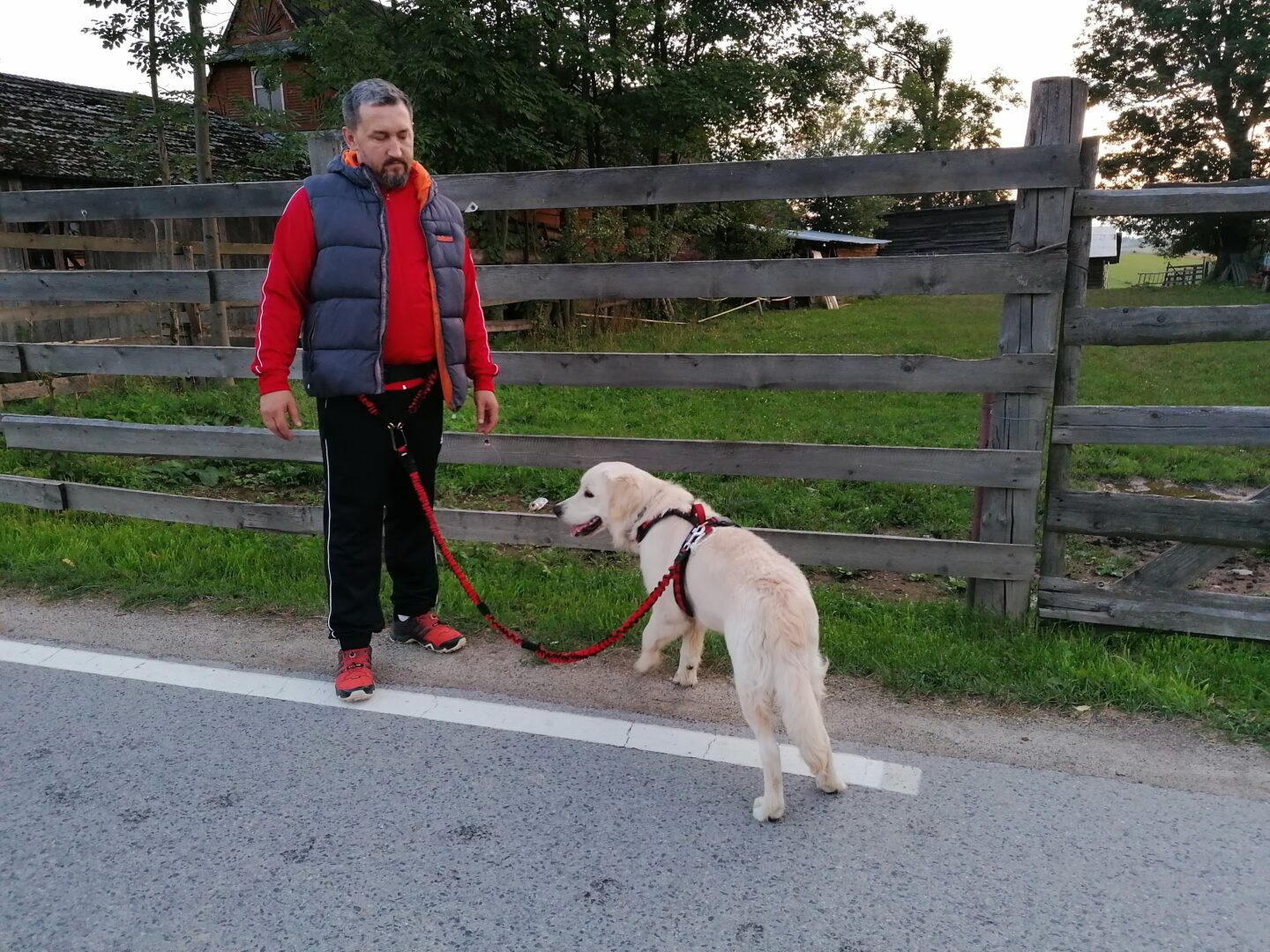 Uprząż dla psa - na wymiar, indywidualnie, szyjemy na wymiar