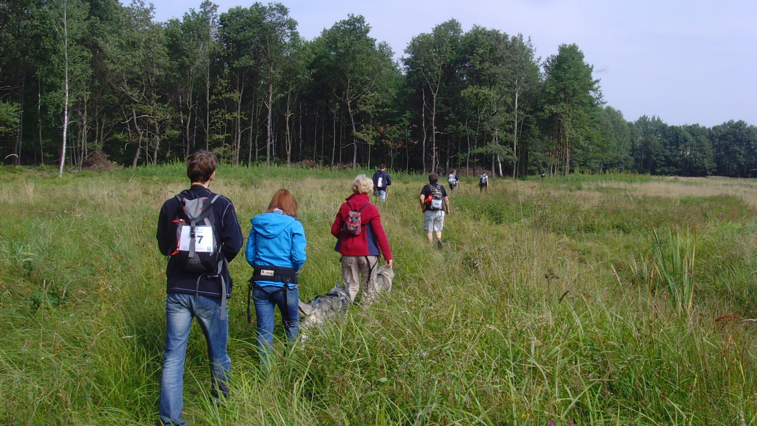 dogtrekkingpozaszlakiem